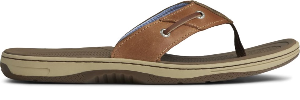Baitfish Chanclas Cuero Marrón Sperry