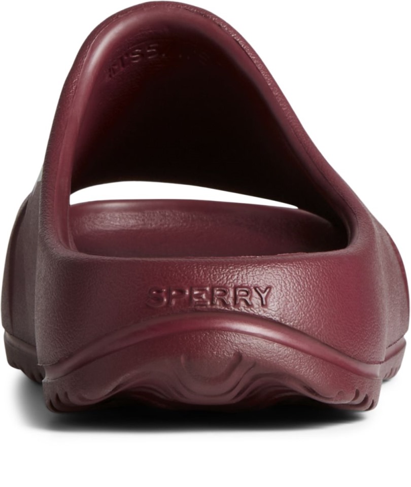 Sandalia Float Slide Logo Cordovan Sperry