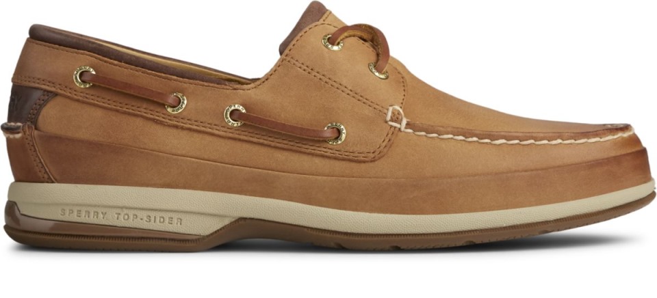 Copa De Oro Barco Zapato Asv Platillo Sperry