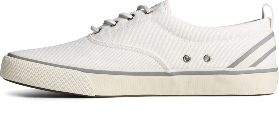 Zapatilla Seacycled Striper Ii Cvo Blanco Sperry