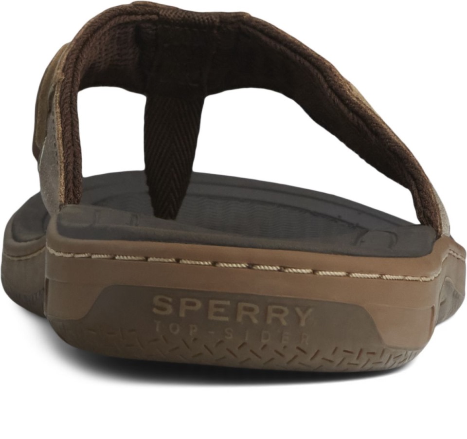 Chanclas Baitfish Sperry Marrón