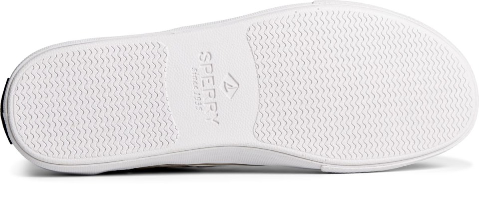 Zapatillas Sperry Striper Ii Ombre Cvo Cemento