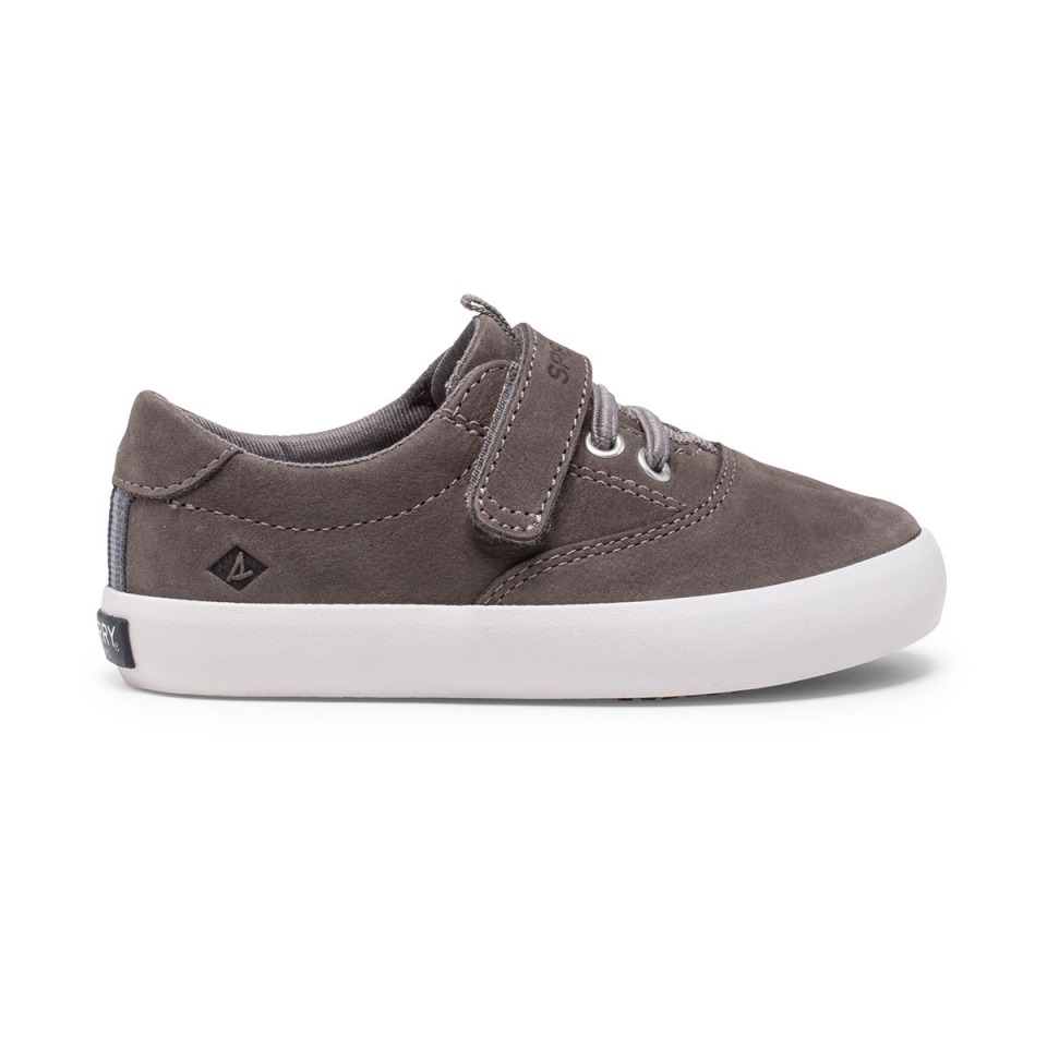 Spinnaker Zapatilla Júnior Lavable Gris Sperry