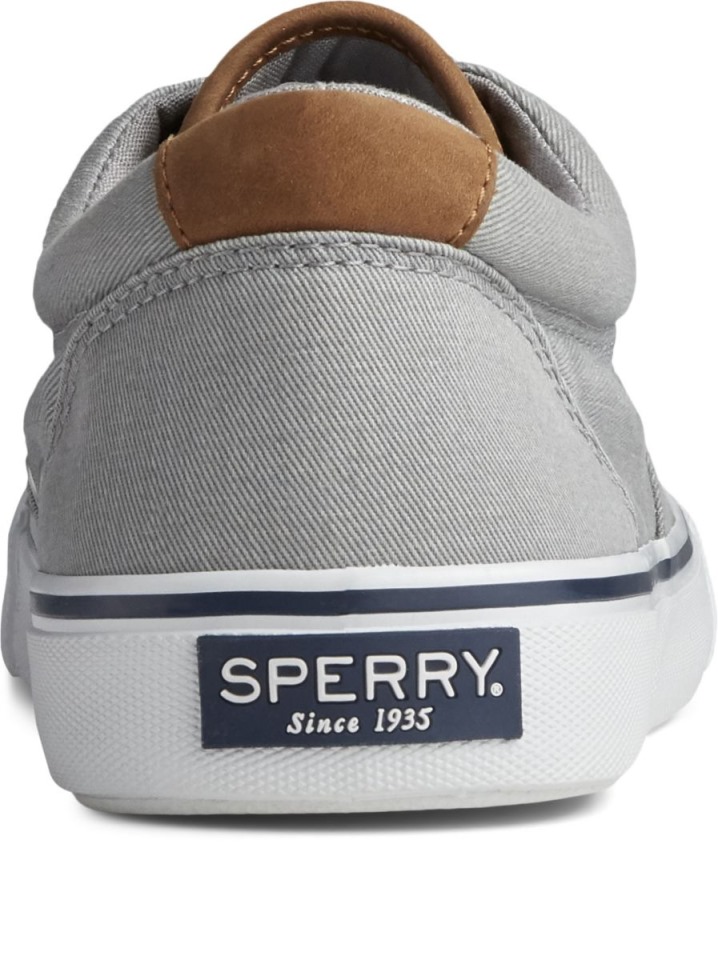Zapatilla Striper Ii Cvo Gris Sperry