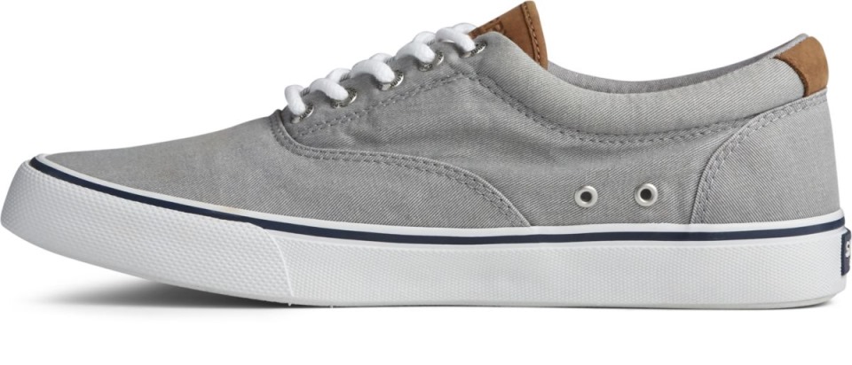 Zapatilla Striper Ii Cvo Gris Sperry