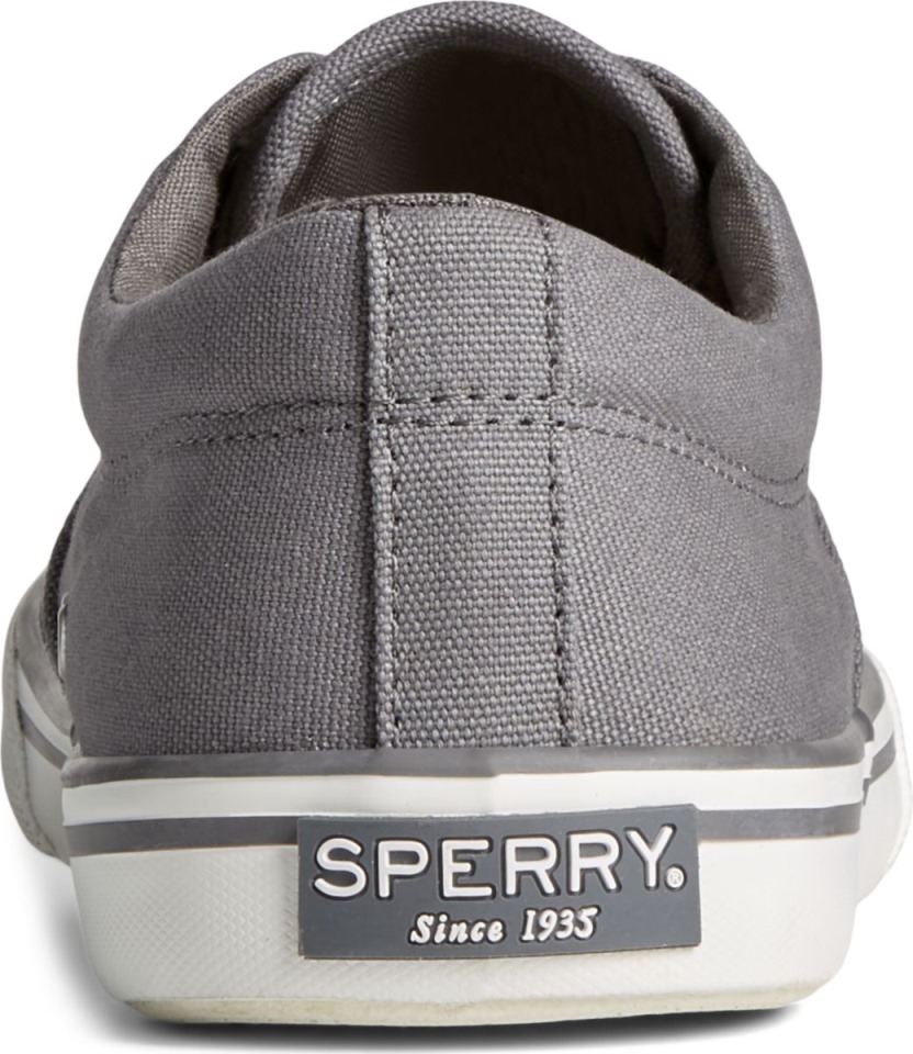Zapatilla Striper Ii Cvo Gris Sperry