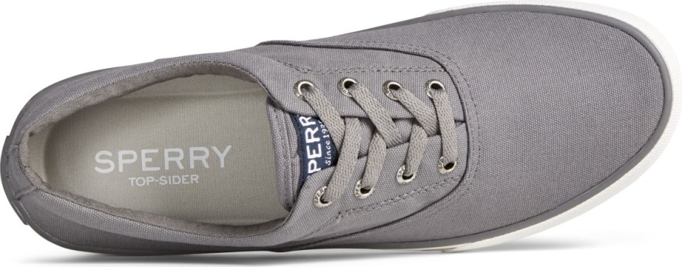 Zapatilla Striper Ii Cvo Gris Sperry