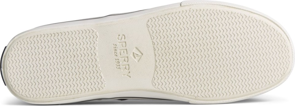 Zapatilla Striper Ii Cvo Gris Sperry