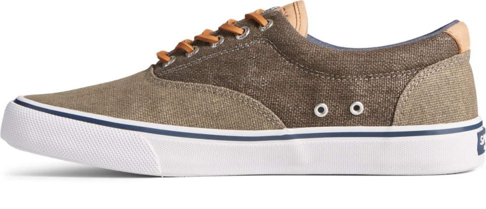 Zapatilla De Deporte De Lona Cerosa Striper Ii Cvo Verde Oliva Tonal Sperry